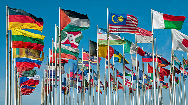 Viele Länder Flaggen (verweist auf: Vertragsstaaten)