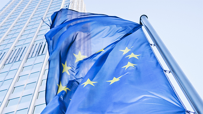 Flagge der Europäischen Union (verweist auf: EORI-Nummer)