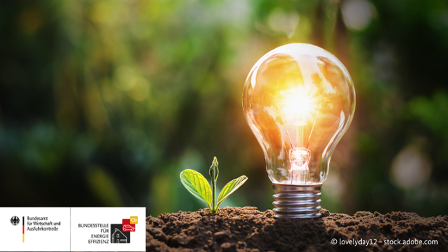 Auf dem Bild ist eine Glühbirne und eine kleine Pflanze zu sehen Auf dem Bild ist eine Glühbirne und eine kleine Pflanze zu sehen