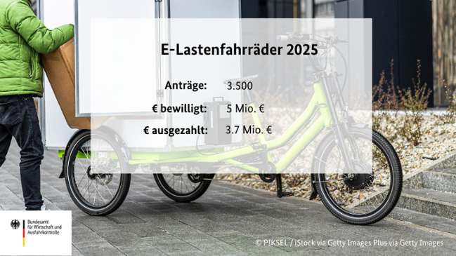 Kennzahlen zu den E-Lastenfahrrädern Kennzahlen zu den E-Lastenfahrrädern