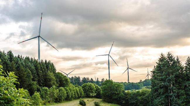 verweist auf: „Bürgerenergiegesellschaften“ bei Windenergie an Land „Bürgerenergiegesellschaften“ bei Windenergie an Land (verweist auf: „Bürgerenergiegesellschaften“ bei Windenergie an Land)