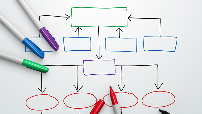refer to: Organisation Organisation chart with marker (refer to: Organisation)
